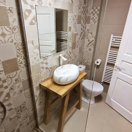 Pensiunea Pink House Runcu Guest house