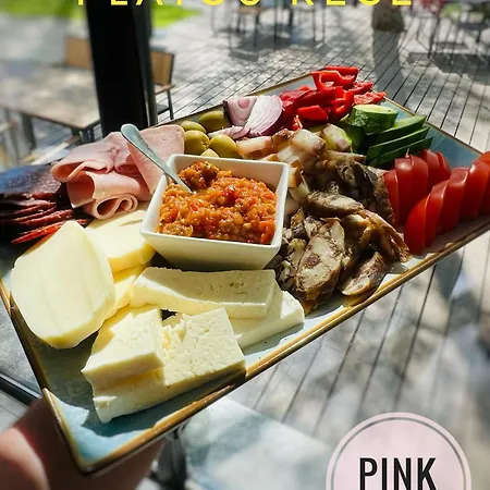 Pensiunea Pink House Runcu